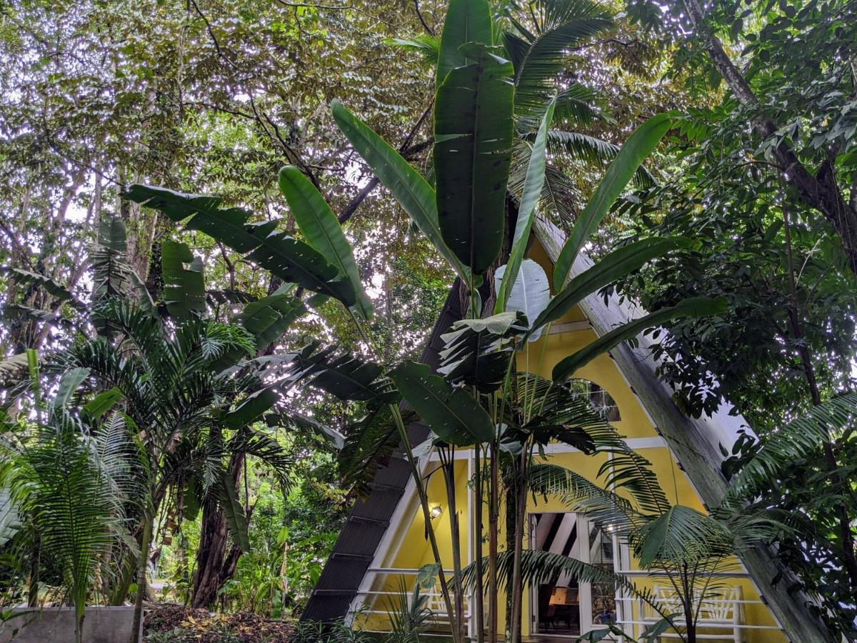 Caribbean Flow Puerto Viejo de Talamanca Экстерьер фото
