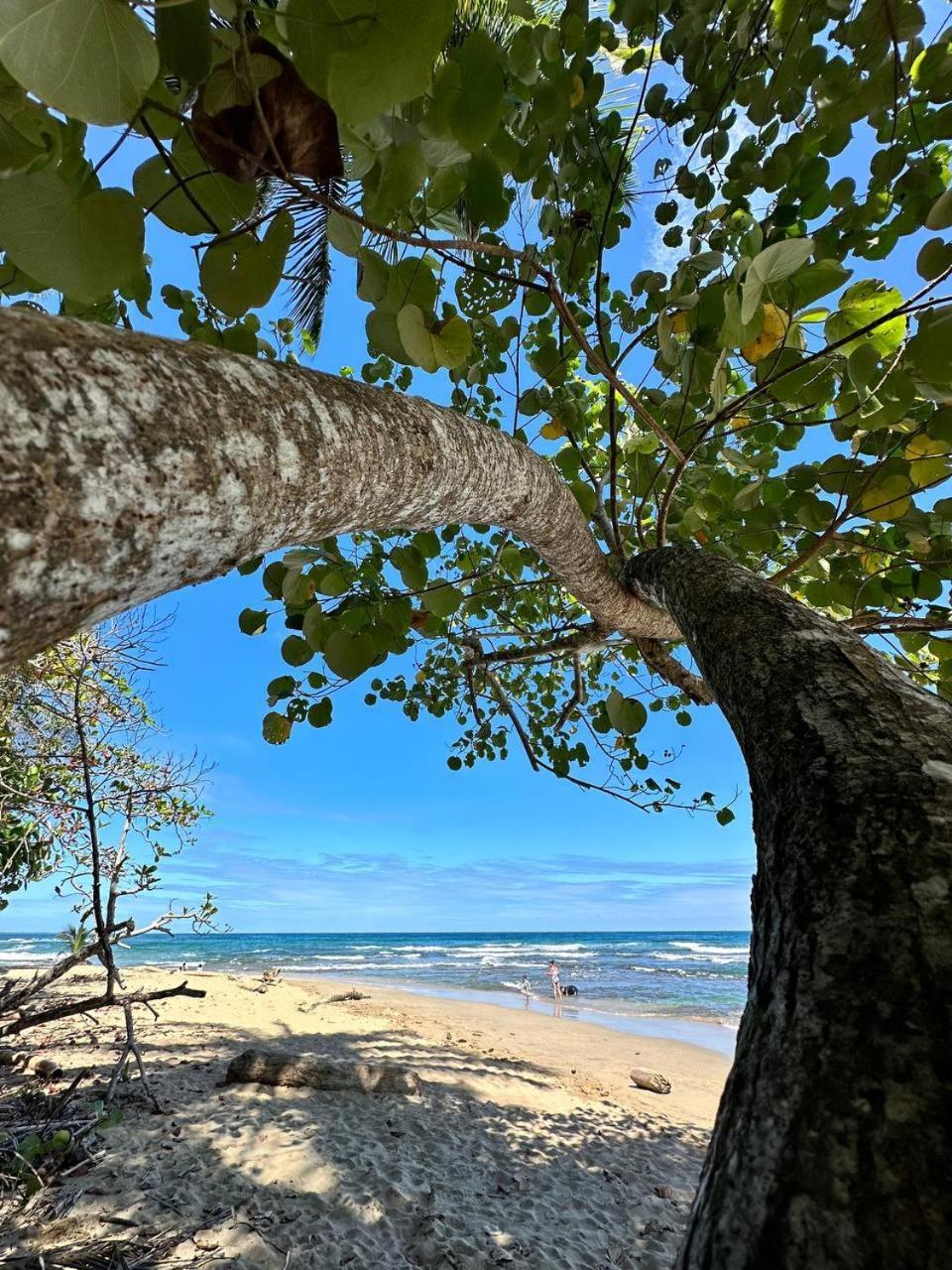 Caribbean Flow Puerto Viejo de Talamanca Экстерьер фото